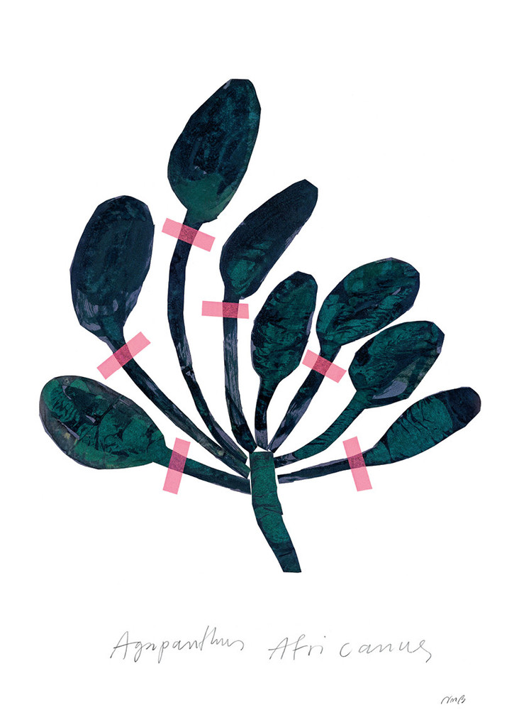 Printcrush: deze botanische prints zijn nét even anders