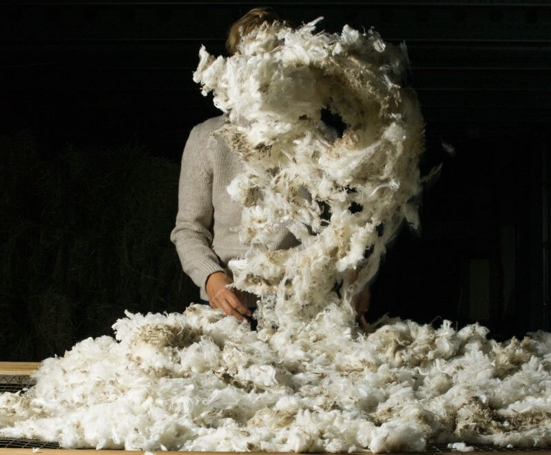 Duurzame Nederlandse wol vind je bij The Knitwit Stable